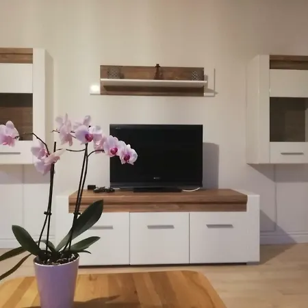 Moscow Areal Apartment *