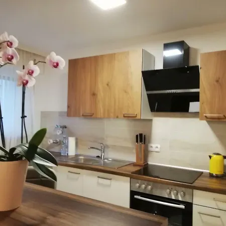 Appartement Moscow Areal *