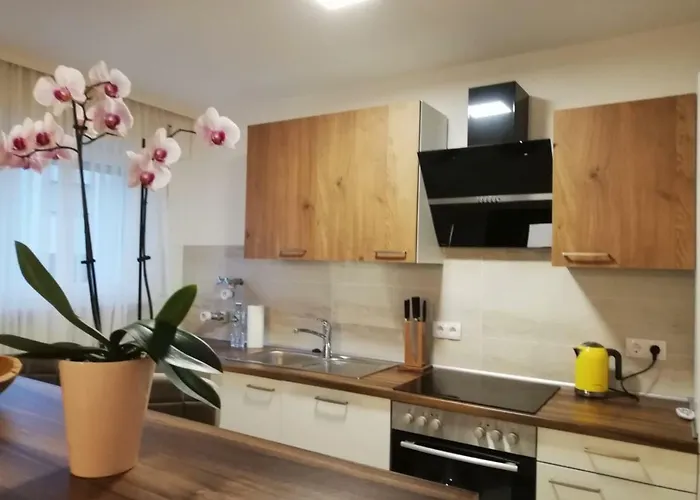 Apartamento Moscow Areal *